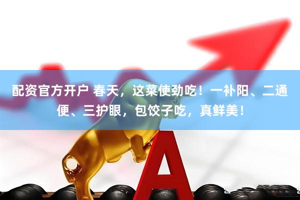 配资官方开户 春天，这菜使劲吃！一补阳、二通便、三护眼，包饺子吃，真鲜美！