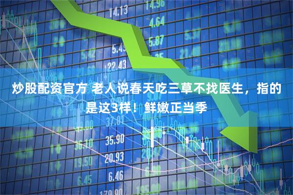 炒股配资官方 老人说春天吃三草不找医生，指的是这3样！鲜嫩正当季